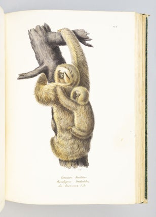 NATURGESCHICHTE UND ABBILDUNGEN DER SÄUGETHIERE.