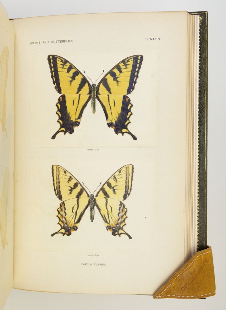 (CJW1901) AS NATURE SHOWS THEM, MOTHS AND BUTTERFLIES OF THE UNITED STATES EAST OF THE...