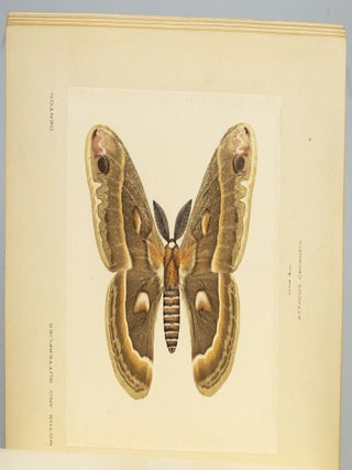 AS NATURE SHOWS THEM, MOTHS AND BUTTERFLIES OF THE UNITED STATES EAST OF THE ROCKY MOUNTAINS.
