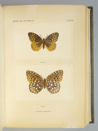 AS NATURE SHOWS THEM, MOTHS AND BUTTERFLIES OF THE UNITED STATES EAST OF THE ROCKY MOUNTAINS.