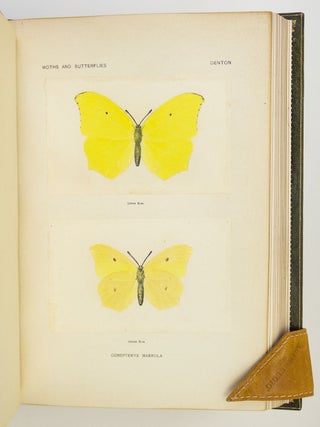 AS NATURE SHOWS THEM, MOTHS AND BUTTERFLIES OF THE UNITED STATES EAST OF THE ROCKY MOUNTAINS.