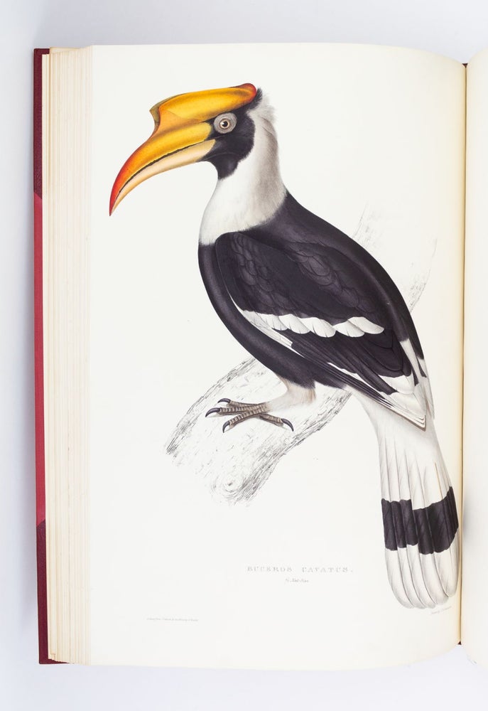 (CMA2204) A CENTURY OF BIRDS FROM THE HIMALAYA MOUNTAINS. JOHN GOULD, N. A. VIGORS