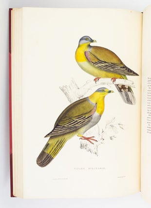 A CENTURY OF BIRDS FROM THE HIMALAYA MOUNTAINS.