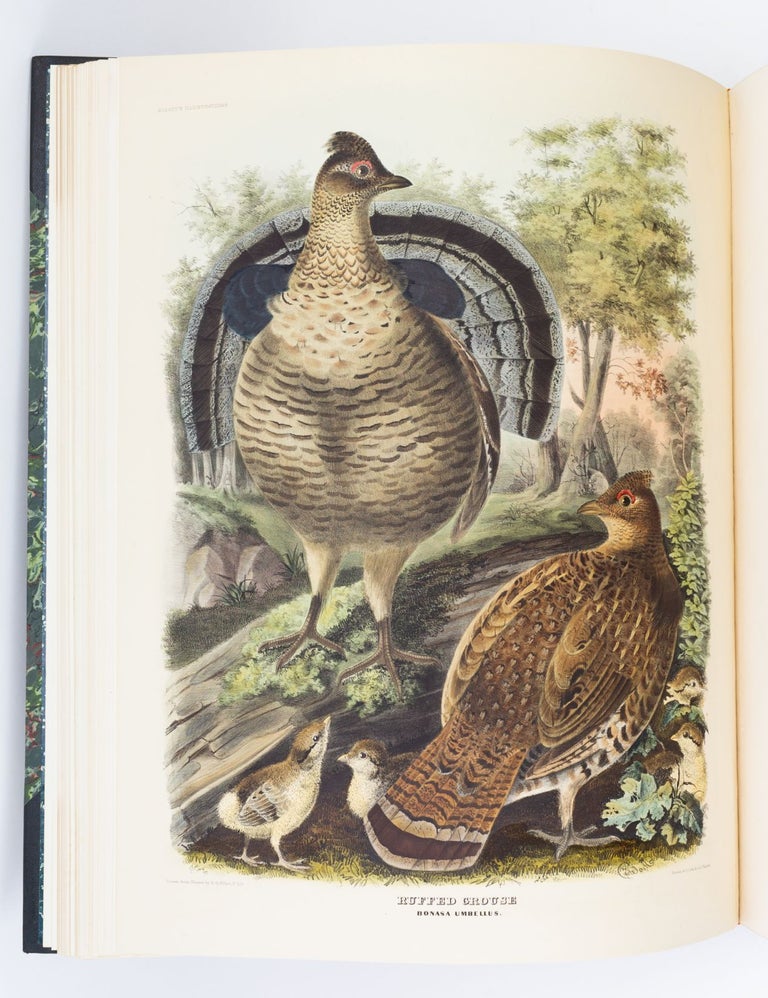 (CRR2201) A MONOGRAPH OF THE TETRAONINAE: OR, FAMILY OF THE GROUSE. DANIEL GIRAUD ELLIOT