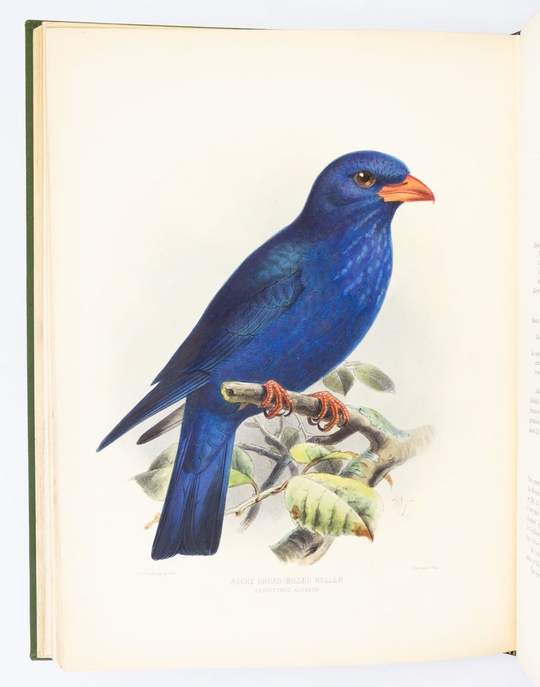 (CRR2302) A MONOGRAPH OF THE CORACIIDAE, OR FAMILY OF THE ROLLERS. ORNITHOLOGY, H. E....