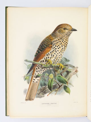 A MONOGRAPH OF THE CORACIIDAE, OR FAMILY OF THE ROLLERS.