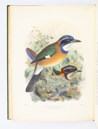 A MONOGRAPH OF THE CORACIIDAE, OR FAMILY OF THE ROLLERS.