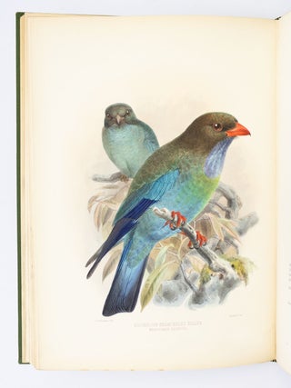 A MONOGRAPH OF THE CORACIIDAE, OR FAMILY OF THE ROLLERS.