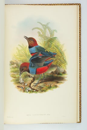 MONOGRAPH OF THE PITTIDAE.