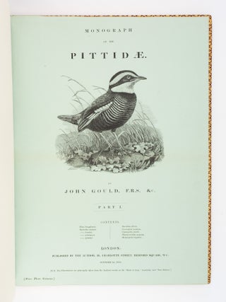 MONOGRAPH OF THE PITTIDAE.