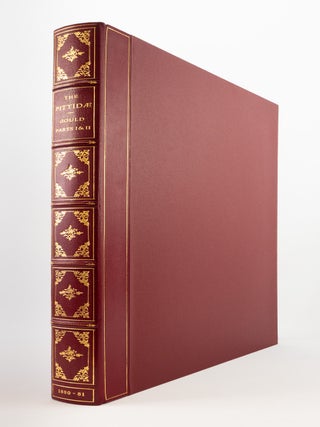 MONOGRAPH OF THE PITTIDAE.