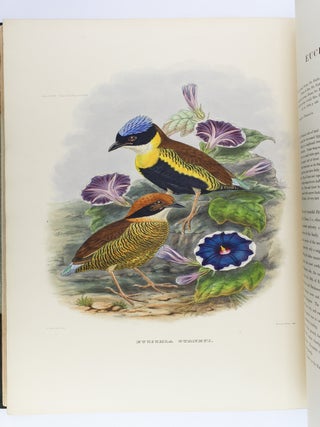 A MONOGRAPH OF THE PITTIDAE, OR FAMILY OF ANT-THRUSHES. DANIEL GIRAUD ELLIOT.