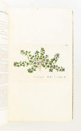 FLORA LONDINENSIS; OR, PLATES AND DESCRIPTIONS OF SUCH PLANTS AS GROW WILD IN THE ENVIRONS OF LONDON. [with] HOOKER, WILLIAM JACKSON. FLORA LONDINENSIS; CONTAINING A HISTORY OF THE PLANTS INDIGENOUS TO GREAT BRITAIN.