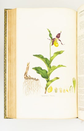 FLORA LONDINENSIS; OR, PLATES AND DESCRIPTIONS OF SUCH PLANTS AS GROW WILD IN THE ENVIRONS OF LONDON. [with] HOOKER, WILLIAM JACKSON. FLORA LONDINENSIS; CONTAINING A HISTORY OF THE PLANTS INDIGENOUS TO GREAT BRITAIN.