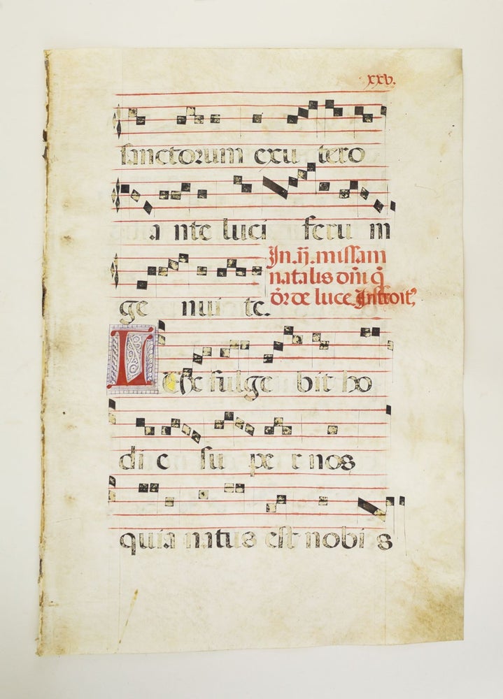 (ST11551B) FROM AN ANTIPHONER IN LATIN. OFFERED INDIVIDUALLY VERY LARGE DECORATED VELLUM MANUSCRIPT LEAVES.