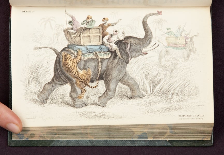Pirages | Jardine. Naturalist's Library. 1845-46 on Phillip J. Pirages Fine  Books and Manuscripts