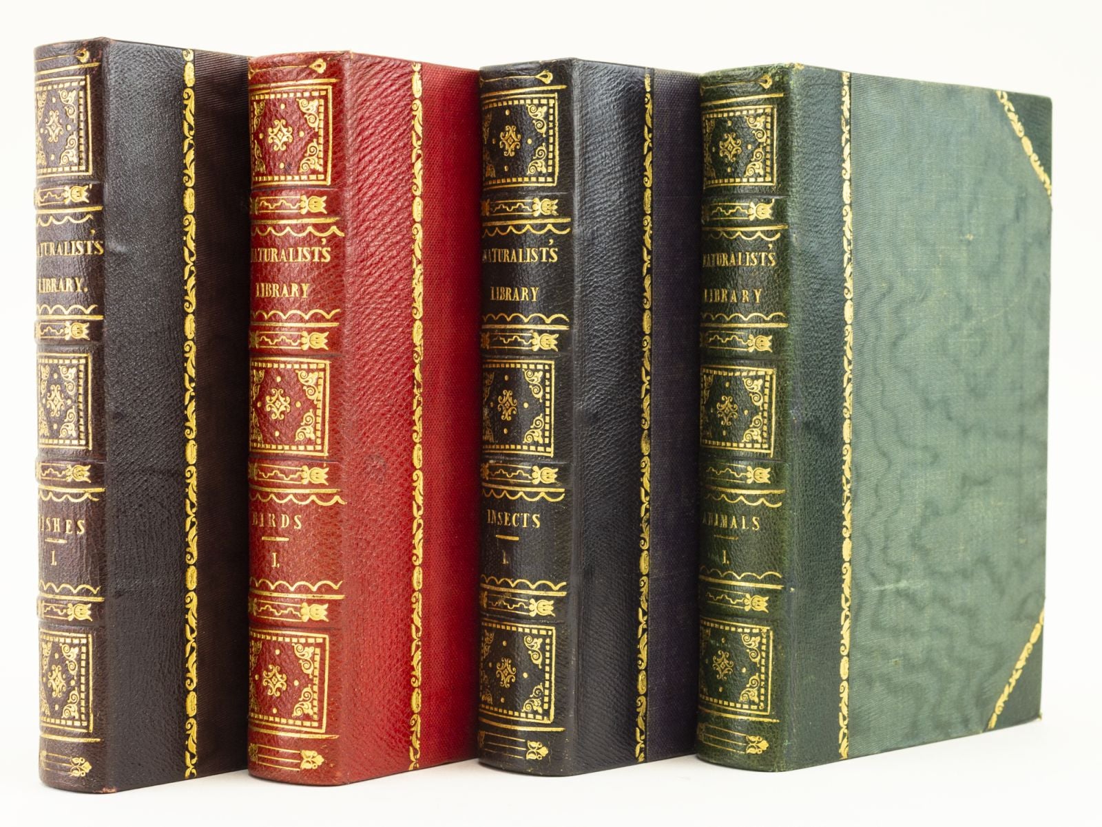 Pirages | Jardine. Naturalist's Library. 1845-46 on Phillip J. Pirages Fine  Books and Manuscripts