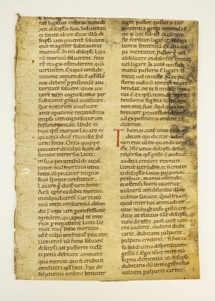 TEXT FROM HOMILY XXVI, FOR THE FIRST SUNDAY AFTER EASTER. A VERY LARGE EARLY VELLUM MANUSCRIPT LEAF FROM.