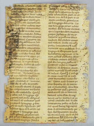 TEXT FROM HOMILY XXII, FOR EASTER SUNDAY. A VERY LARGE EARLY VELLUM MANUSCRIPT LEAF WITH.