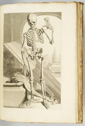 ANATOMIA CORPORUM HUMANORUM.