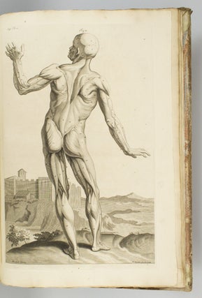 ANATOMIA CORPORUM HUMANORUM.