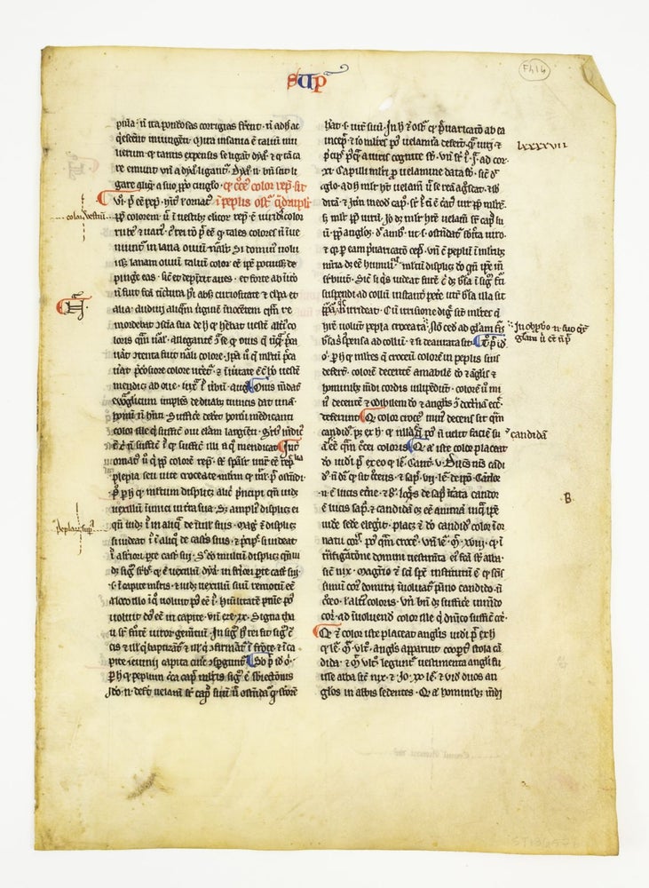 (ST13657a) TEXT FROM "DE SUPERBIA" OFFERED INDIVIDUALLY VELLUM MANUSCRIPT LEAVES, FROM...