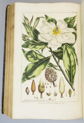 FIGURES OF THE MOST BEAUTIFUL, USEFUL, AND UNCOMMON PLANTS DESCRIBED IN THE GARDENER'S DICTIONARY.