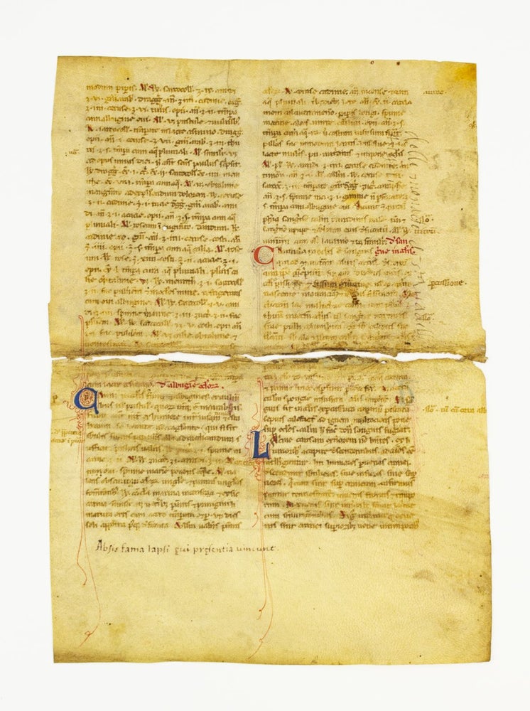 (ST14954) FROM A. MEDICAL TREATISE IN LATIN MANUSCRIPT LEAVES ON VELLUM, OFFERED INDIVIDUALLY, ONE LEAF BISECTED.