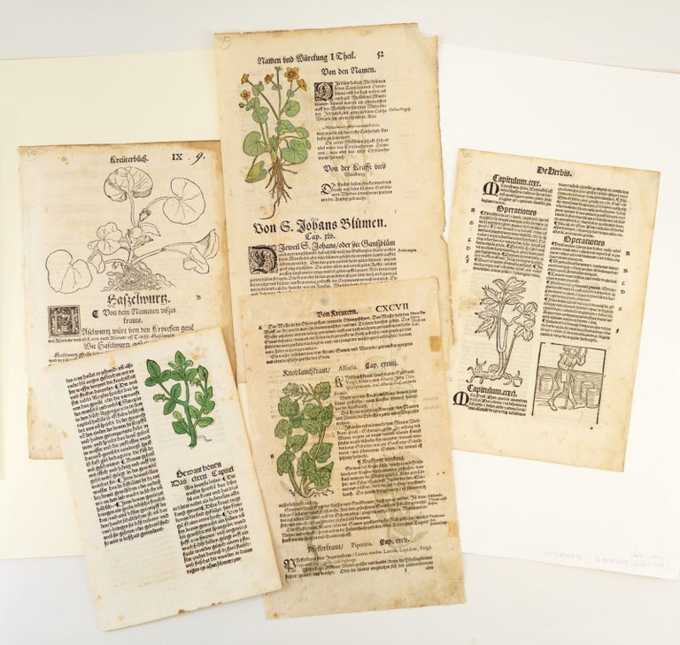 (ST16421a) INCLUDING AT LEAST ONE INCUNABLE A COLLECTION OF FIVE LEAVES FROM EARLY PRINTED HERBALS, OFFERED AS A. GROUP.