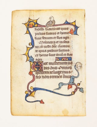 FROM A SMALL PSALTER-HOURS IN LATIN, WITH IMMENSELY CHARMING MARGINALIA. OFFERED INDIVIDUALLY ILLUMINATED VELLUM MANUSCRIPT LEAVES.