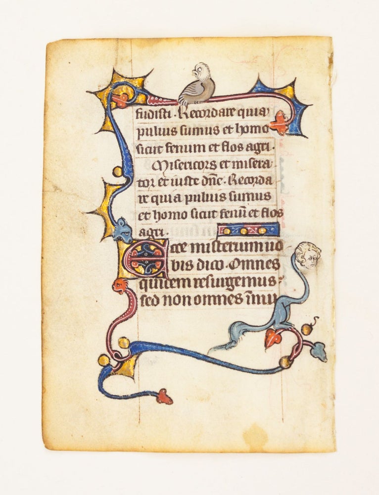 (ST16985L) FROM A SMALL PSALTER-HOURS IN LATIN, WITH IMMENSELY CHARMING MARGINALIA....