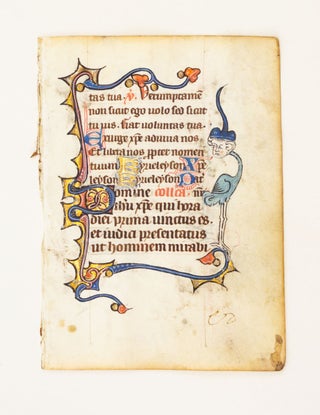 FROM A SMALL PSALTER-HOURS IN LATIN, WITH IMMENSELY CHARMING MARGINALIA.