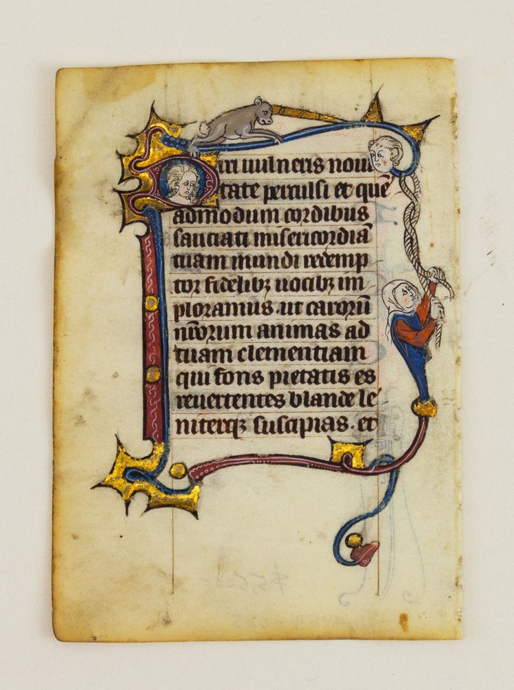 (ST16985S) FROM A SMALL PSALTER-HOURS IN LATIN, WITH IMMENSELY CHARMING MARGINALIA. OFFERED INDIVIDUALLY ILLUMINATED VELLUM MANUSCRIPT LEAVES.