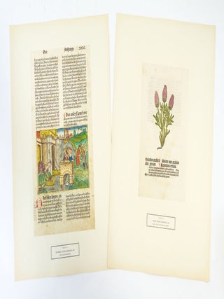 DER BUCHHOLZSCHNITT IM 15. JAHRHUNDERT IN ORIGINAL-BEISPIELEN.
