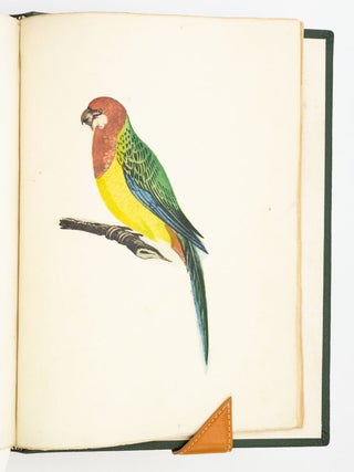 PRACTICAL HINTS ON DECORATIVE PRINTING, WITH ILLUSTRATIONS ENGRAVED ON WOOD, AND PRINTED IN COLOURS.