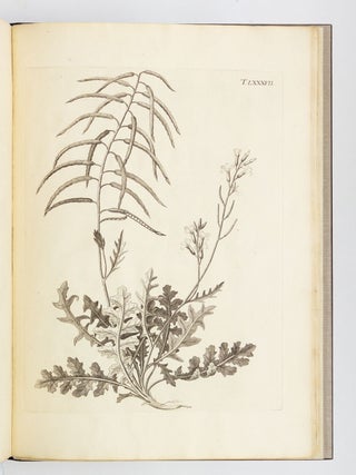 FLORA PEDEMONTANA SIVE ENUMERATIO METHODICA STIRPIUM INDIGENARUM PEDEMONTII.