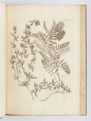 FLORA PEDEMONTANA SIVE ENUMERATIO METHODICA STIRPIUM INDIGENARUM PEDEMONTII.