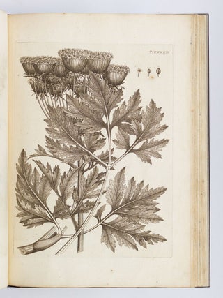 FLORA PEDEMONTANA SIVE ENUMERATIO METHODICA STIRPIUM INDIGENARUM PEDEMONTII.
