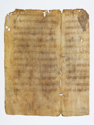 TEXT FROM HOMILY XXXII ON LUKE 9:25-27 & HOMILY XXXV ON LUKE 21:9-19.