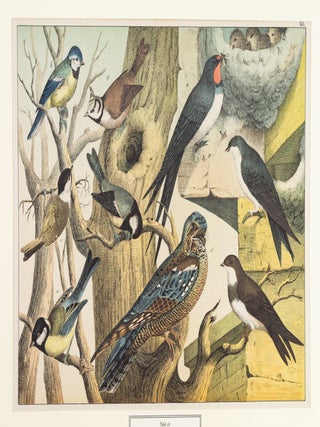 TIERBUCHER AUS FUNF JARHUNDERTEN.