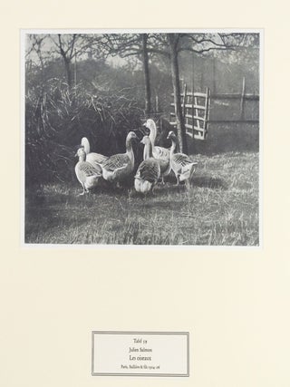 TIERBUCHER AUS FUNF JARHUNDERTEN.