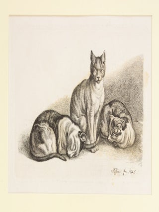 TIERBUCHER AUS FUNF JARHUNDERTEN.