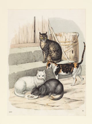 TIERBUCHER AUS FUNF JARHUNDERTEN.
