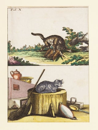 TIERBUCHER AUS FUNF JARHUNDERTEN.