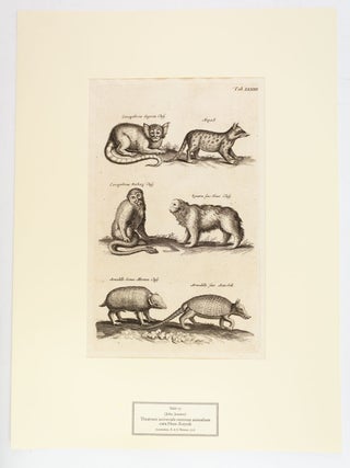 TIERBUCHER AUS FUNF JARHUNDERTEN.