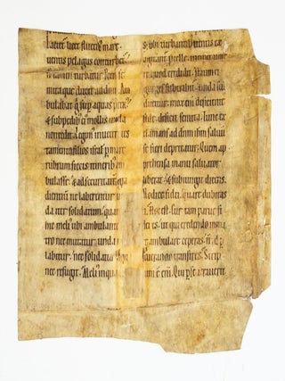 TEXT FROM A HOMILIARY IN LATIN.