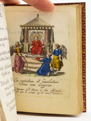 AMORIS DIVINI ET HUMANI EFFECTUS VARII, SACRÆ SCRIPTURAE SANCTORUMQUE, PP. SENTENTIIS AC GALLICIS ILLUSTRATI.