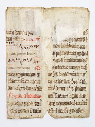 TEXT IN LATIN.