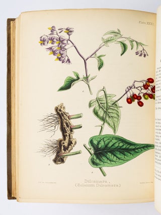 FLORA HOMOEOPATHICA; OR, ILLUSTRATIONS AND DESCRIPTIONS OF THE MEDICINAL PLANTS USED AS HOMOEOPATHIC REMEDIES.