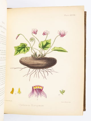 FLORA HOMOEOPATHICA; OR, ILLUSTRATIONS AND DESCRIPTIONS OF THE MEDICINAL PLANTS USED AS HOMOEOPATHIC REMEDIES.